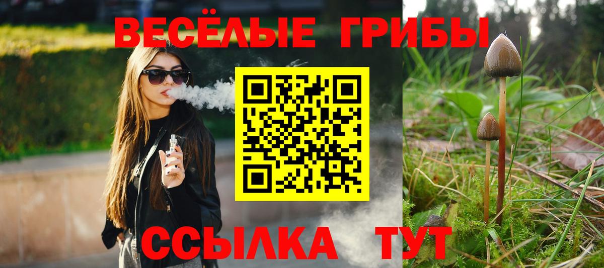 Елабуга  Галлюциногенные грибы ЛСД  где купить наркоту  Галлюциногенные грибы GOLDEN TEACHER  Вход с VPN 